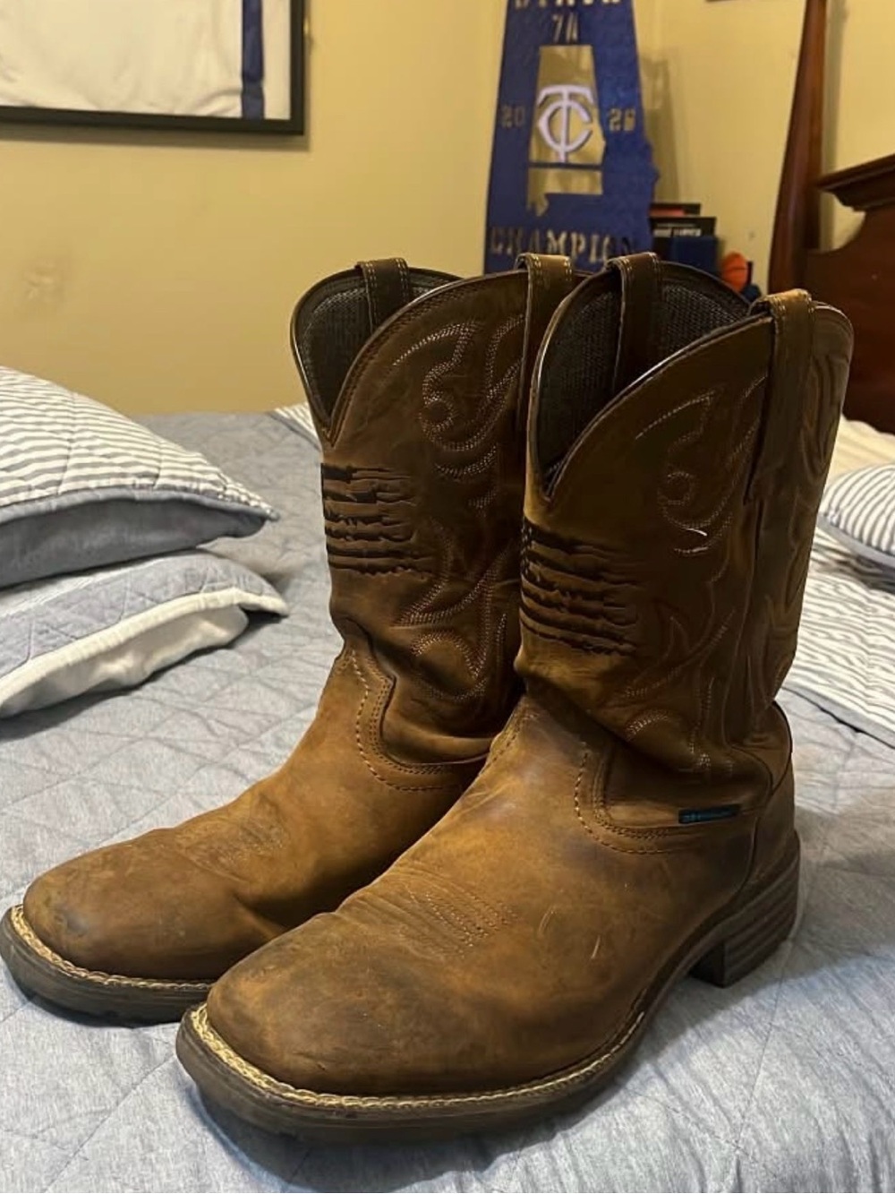 Ariat boots